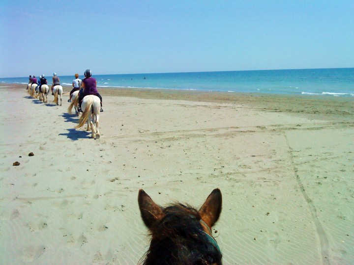 Paseo a caballo en la Camargue