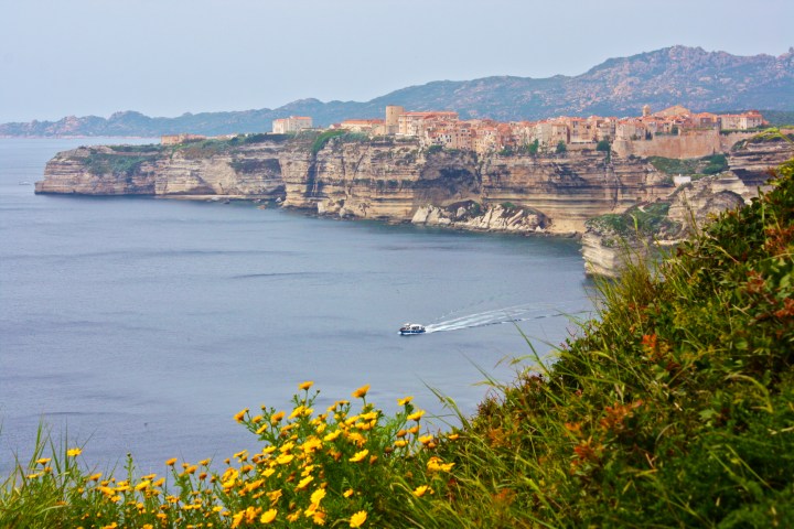 Bonifacio
