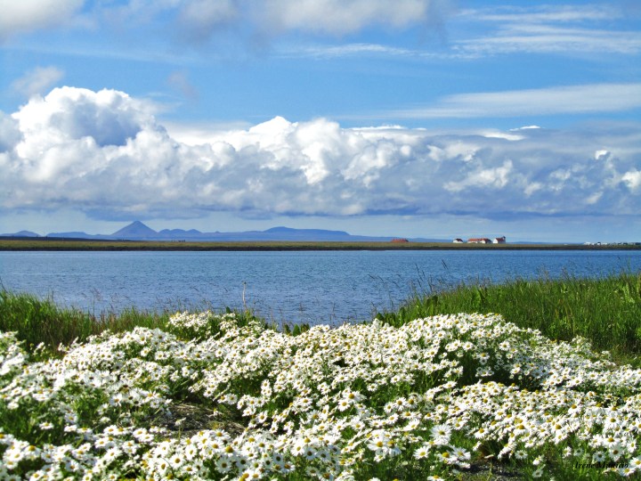 Vista desde Reykjavic