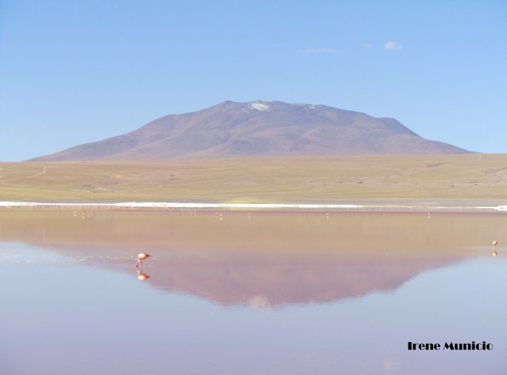 Laguna Colorada_Bolivia_Irene Municio