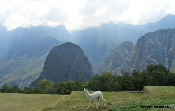 Vista desde Machu Picchu