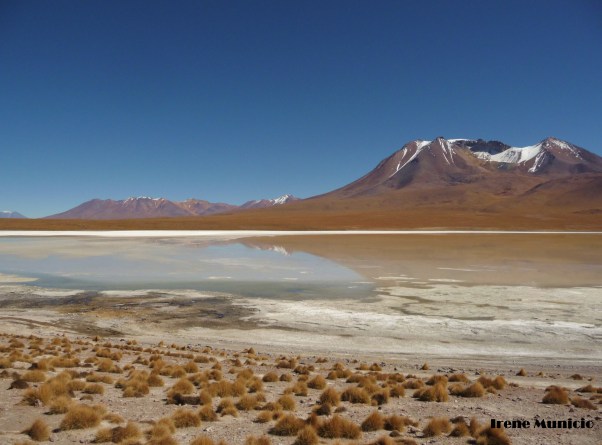 Laguna Blanca